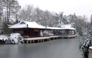 白苹果连接不上爱思助手_白苹果怎么办